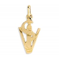 Pendentif CADUCEE de V&eacute;t&eacute;rinaire
